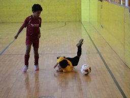 mini-IMG_6922
